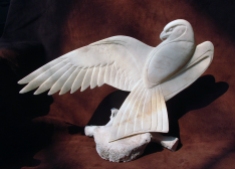 'Falcon with Wing Outstretched' (carved moose antler) by Maureen Morris